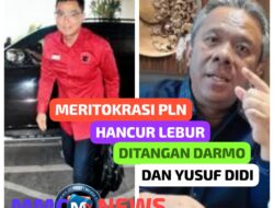 Meritokrasi PLN Hancur Lebur Di Tangan Darmo dan Yusuf Didi
